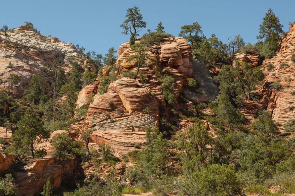 Exploring America's National Parks